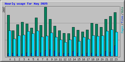 Hourly usage for May 2025