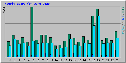 Hourly usage for June 2025