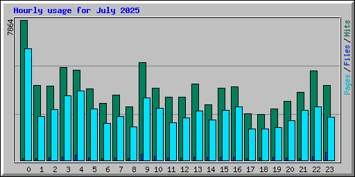 Hourly usage for July 2025