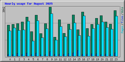 Hourly usage for August 2025