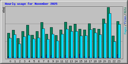 Hourly usage for November 2025