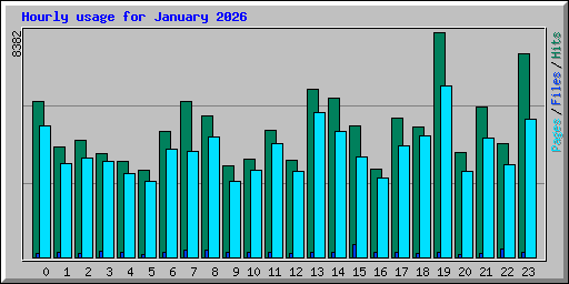 Hourly usage for January 2026